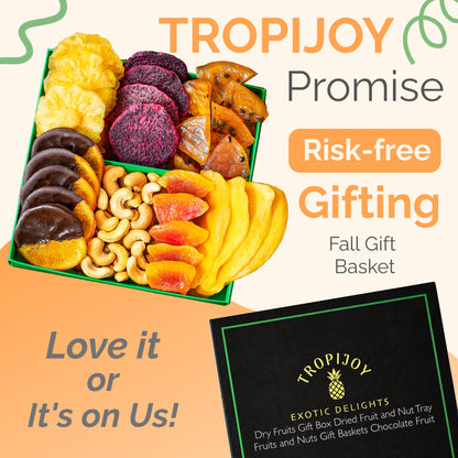 Tropical Dried Fruit & Nut Gift Box featuring Chocolate Orange | 12.5oz | 7 Gourmet Snacks for a Flavorful Escape 🍍